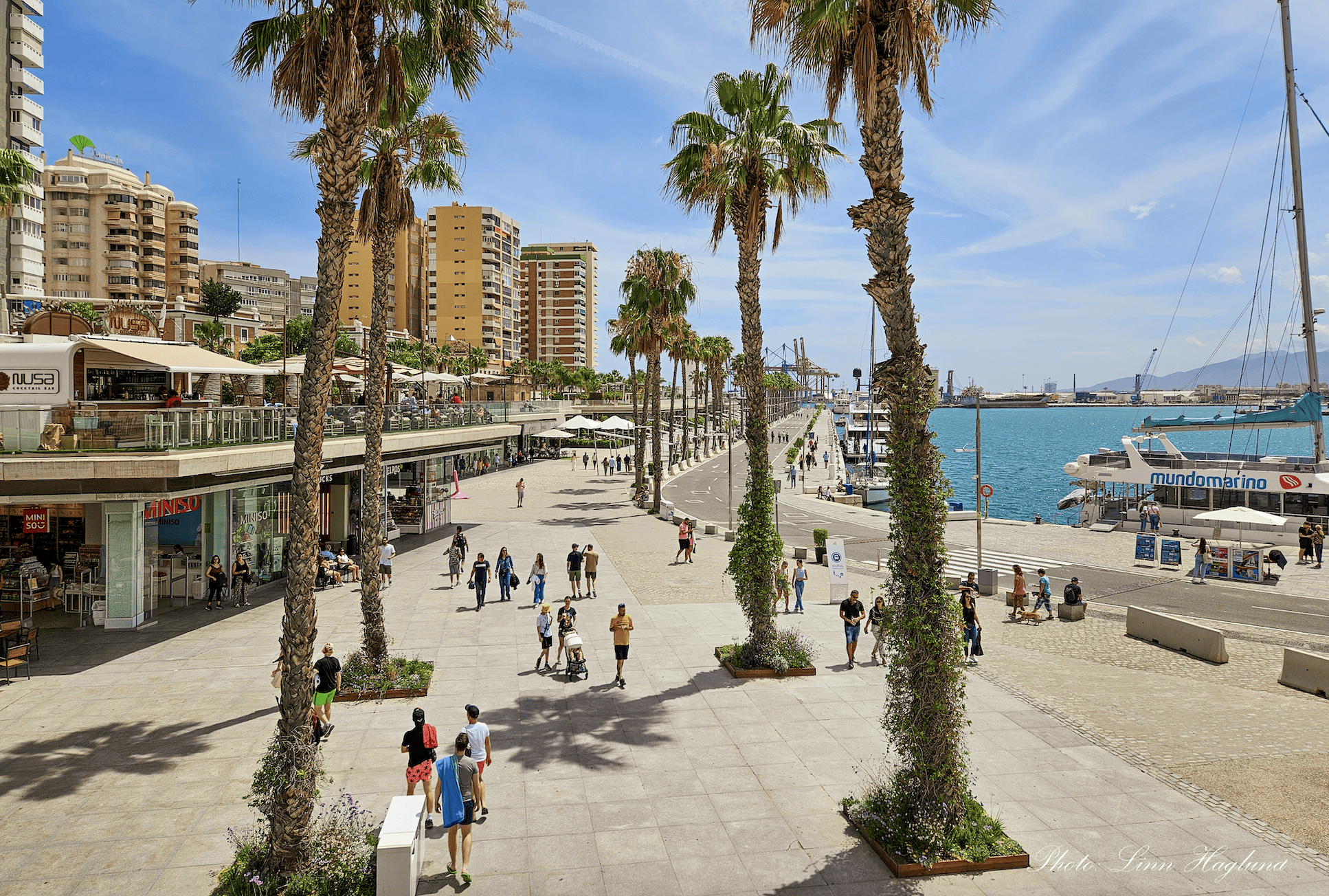 Malaga City